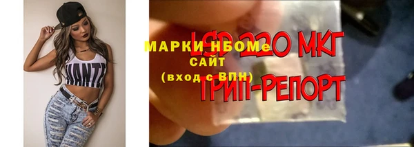 a pvp Аркадак